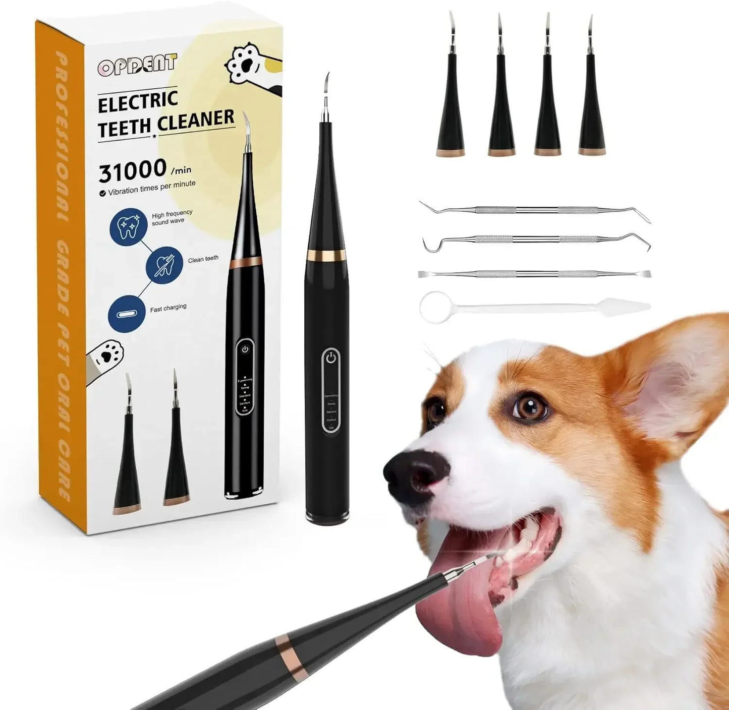 Electric Toothbrush for Pet