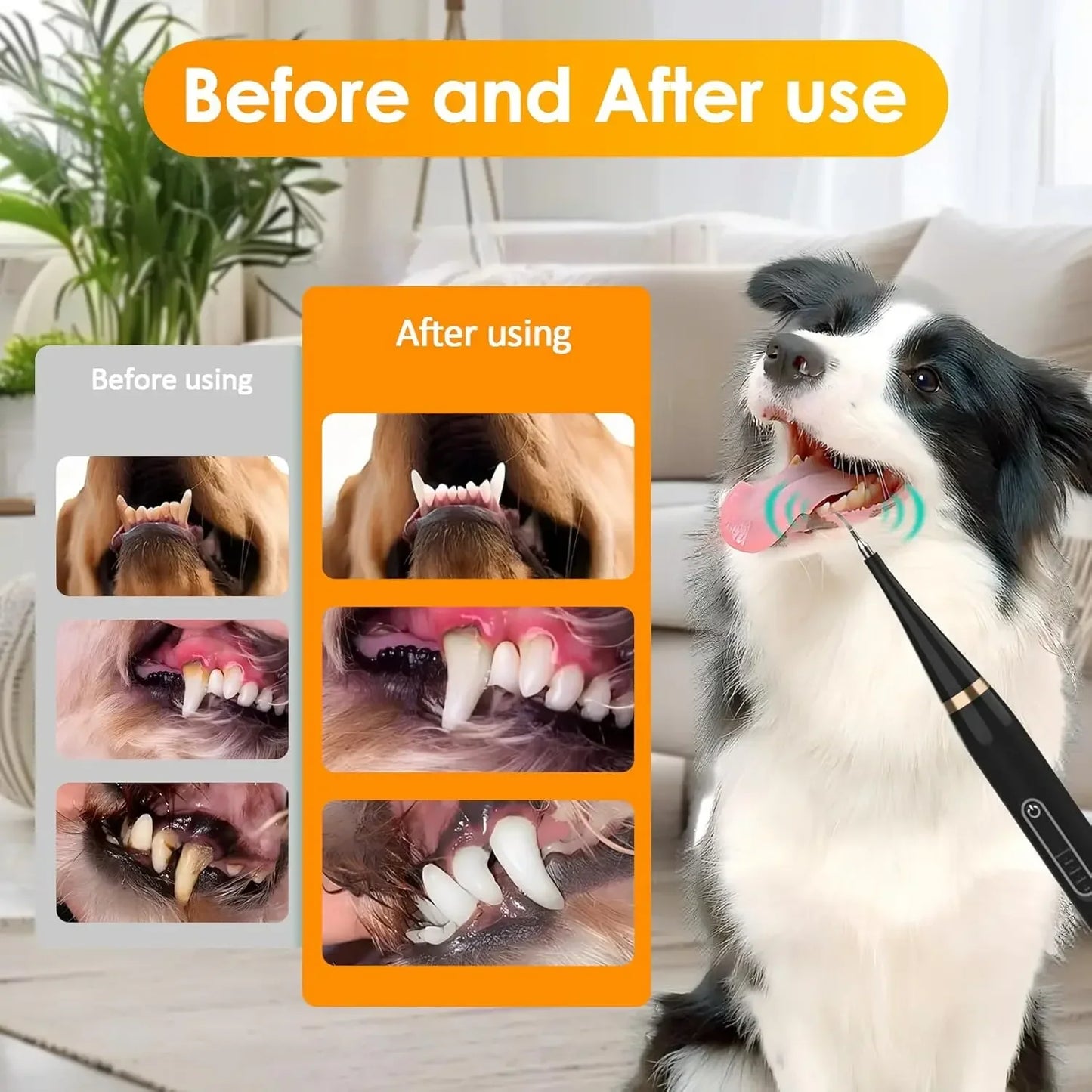 Electric Toothbrush for Pet